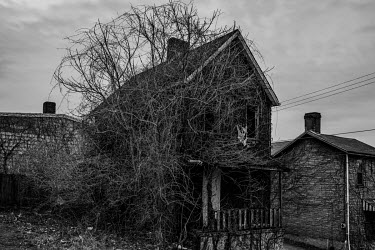Undergrowth covers an abandoned house in Braddock, a town hit hard by urban decline. The population of Pittsburgh, the urban area that Braddock is a part of, has halved since its 1960s high point. Lik...