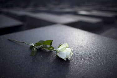 A white rose on one of the stelae of the Holocaust Memorial (Memorial to the Murdered Jews of Europe) during a ceremony on the 75th anniversary of the liberation of the Auschwitz death camp. Politicia...