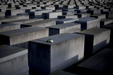 A white rose on one of the stelae of the Holocaust Memorial (Memorial to the Murdered Jews of Europe) during a ceremony on the 75th anniversary of the liberation of the Auschwitz death camp. Politicia...
