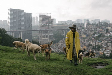 Gerardo Carmona walks with his dogs on a hill with the city behind him.
