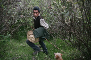 Gerardo Carmona searches one of his cows lost while grazing on a hill behind his home.