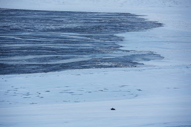 A person rides a snow mobile across a fjord that would normally be completely frozen in winter but huge patches of unfrozen sea are visible. Temperatures in this region are warming faster than anywher...