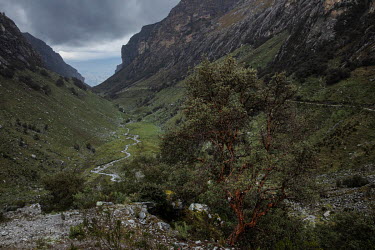 A mountain stream, fed by the Llaca, runs down a valley in the Cordillera Blanca. The accelerated melting of the Peruvian glaciers represent a dual threat to the population of the region. In the long...