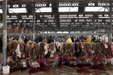 Muslims slaughter rams at the temporary abattoir at Park Spoor Noord for the Feast of Sacrifice (Eid al-Adha).