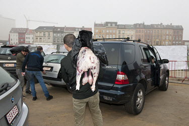 Muslims load slaughtered rams into a car for the Feast of Sacrifice (Eid al-Adha) at the temporary abattoir at Park Spoor Noord.