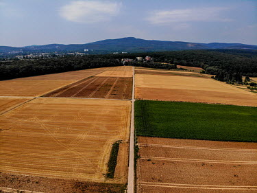Agricultural fields with thr Taunus Mountains in the background.