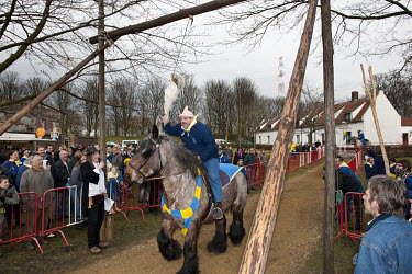 A man participates in the annual Goose Riding (Goose Pulling) festival which is held on Shrove Tuesday and involves a horse back rider trying to pull the head of a dead goose.