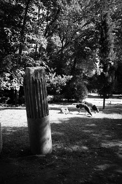 Two young women doing yoga exercises in a park beside the stump of an ancient column.