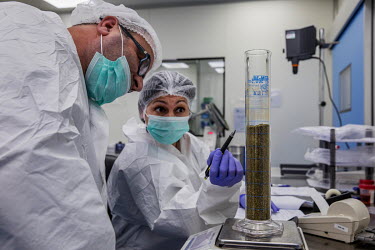 Employees work in a laboratory at Panaxia, an Israeli pharmaceutical company producing medicinal cannabis products.
