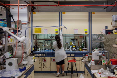 A scientist in the laboratory where organic chemist Raphael Mechoulam and his research group work at the Hebrew University of Jerusalem. Mechoulam led the research group that was the first to succeed...