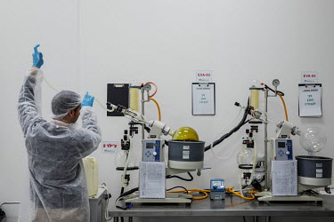 An employee, working in a laboratory extracting cannabis oil for use in medicinal cannabis products made at Bazelet, an Israeli medicinal cannabis company.