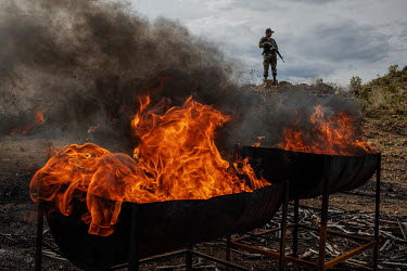 Members of Bolivia's anti-narcotics police (FELCN, Fuerza Especial de Lucha Contra el Narcotrafico, Special Force to Combat Drug Trafficking) burning seized drugs, mainly cocaine, in a remote area in...