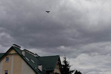 A bird of prey flying over the 'Our Home' building, a facility for troubled families and children in need, run by father Edward Konkol from the Divine World Missionaries (SVD) order.