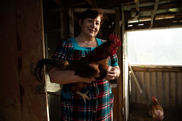 Svetlana Zakharenko with a cockerel raised in a shed in her garden in front of her apartment block. Svetlana and her husband Victor, a retired couple of Ukrainian origin who settled near Magadan, appl...