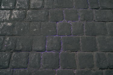 Purple gliter left on the pavement after a protest passed by towards the Plaza del Zocalo on International Women's Day. The annual demonstrationÂ�intensified and turned into a bigger movementÂ�again...