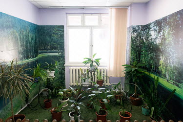 House plants in a 'winter garden' in a recreation zone at the Yar-Sale School.