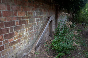 A ramp for travelling hedgehogs built in the garden of lawyer Peter Kyte to compensate for the difference in height between his and the neighbouring property. The ramp forms part of the Kirtlington vi...