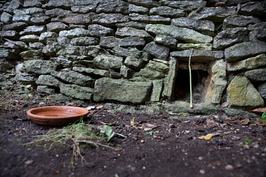 A stick covers a hole, built into a dry stone wall, to show when an animal has used the Kirtlington village 'Hedgehog Street', one a of many man-made routes built so the animals can negotiate human ar...