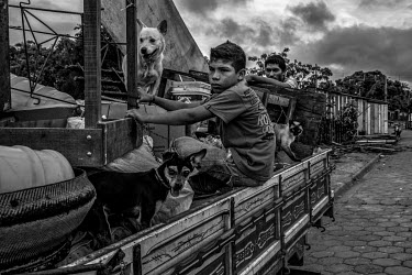 A boy sits on a truck loaded with the belongings and pets of a displaced family that used to live in a stilt house in Altamira but are being resettled in a new urban dwelling. They were forced to move...