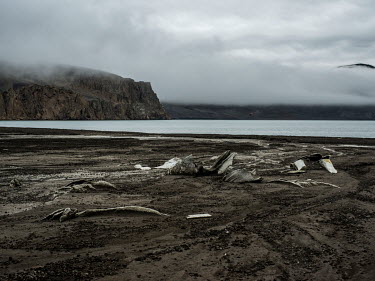 Whales bones, in Whalers Bay, Deception Island in the South Shetland Islands. Nearby are the remains of a whaling station built by Norweigans in the early 20th century. The station was abandoned in 19...
