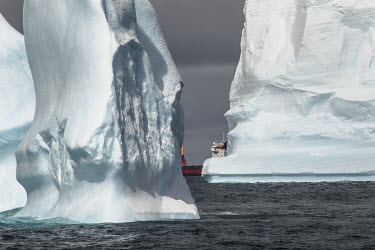 Trinitas, a Norweigan reefer, sailes among icebergs off the South Orkney Islands.  The Greenpeace ship MY Esperanza is on the final leg of the pole to pole voyage from the Arctic to the Antarctic. T...