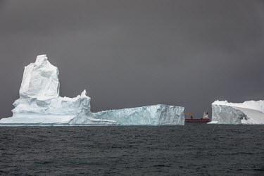 Trinitas, a Norweigan reefer, sailes among icebergs off the South Orkney Islands.  The Greenpeace ship MY Esperanza is on the final leg of the pole to pole voyage from the Arctic to the Antarctic. T...