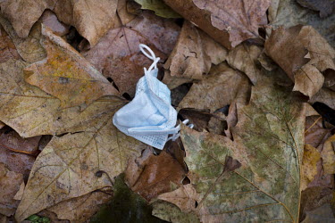 A discarded face mask lies among autumn leaves beside St John's Church, LB Hackney.