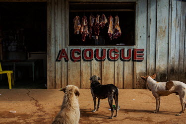 Stray dogs stare at meat hanging in a butcher's shop in Vila da Ressaca, an area previously mined by gold prospectors but now almost completely abandoned. The area was due to be surveyed by the Canadi...