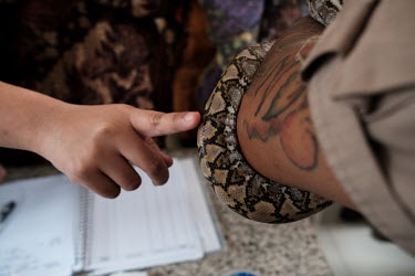 A participant gingerly reaches out to touch a python (a non-venomous constrictor) on display at a snakebite envenomation presentation for medical professionals by Indonesian snakebite expert, Dr. Tri...