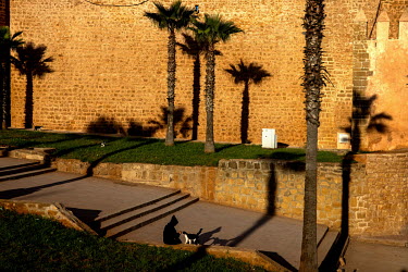 A person pets a cat beside the old city walls.