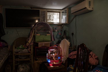 Caged birds belonging to Ceyhun Seymur Khudiyev (45) in the room where he lives along with his family in an unfinished school complex where several hundred families have now lived for more than twenty...