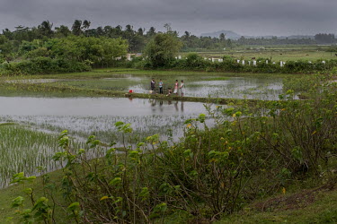 A family is fishing on their plot in Jaliapolong, along the road between the city of Cox's Bazar and the world's largest refugee camp Kutupalong in Bangladesh.