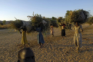 Children collect fire wood from the bush around the Gourounkoum camp for internally displaced persons.