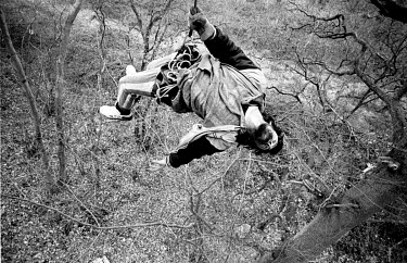 Enviromental protestor, 'Sir Galahad', hangs by a rope from a tree 40 feet above the ground at Snelsmore Common, a site of special scientific interest that was destroyed to make way for the Newbury By...