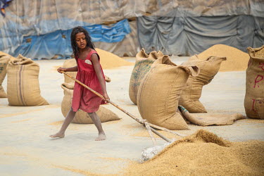 A child labourer helps to fill sacks a grain mill before she was able to stop labouring and attend school.