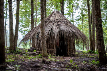 A hut built by Francis Sembagare, a Batwa (pygmy) elder, has known life in the rain forest, and tries to pass on old traditions, hunting techniques and knowledge of plants and animals to his children....