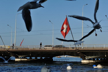 Seagulls fly over Lake Geneva, near the Pont du Mont Blanc.
