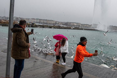 Two women, feeding the seagulls beside Lake Geneva, pose for a photograph while a jopgger running past films the scene on his mobile phone.