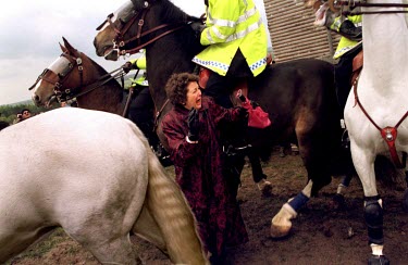 A woman protesting against the breeding of cats for experimentation is caught in a mounted police charge at Hillgrove Cat Farm during a mass demonstration.
