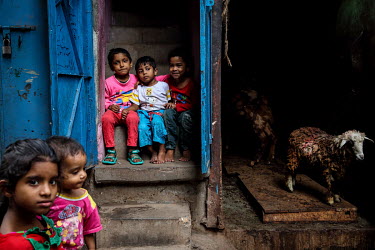 Children sitting in the entrance to a building, beside a sheep and a goat in the urban refugee camp popularly known as 'Geneva Camp'. The people living in the area are related to Muslims who moved her...