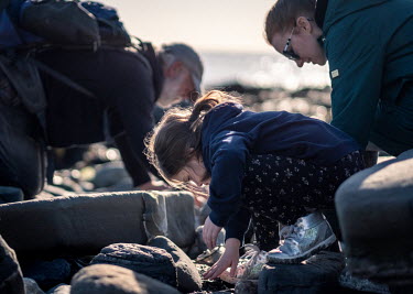 Ellie Farndon looks for ammonites in loose shingle on the beach at Lyme Regis during a fossil tour with geologist Paddy Howe. The Farndon family came fossil hunting after Ellie heard the story of famo...