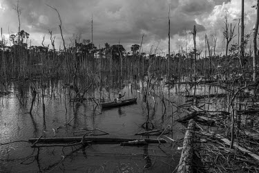 A youth navigates his canoe through dead trees on the Xingu River, formed after the flooding of the Belo Monte dam reservoir, an area of nearly 516 km2. The rotting vegetation releases methane gas whi...
