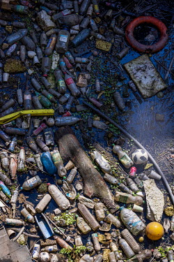 Plastic pollution in the River Lea.