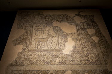 Gazelle depicted in ancient Roman mosaics at the Hatay Archaeology Museum.