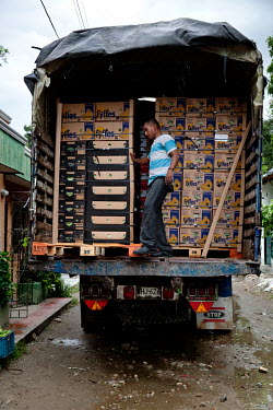 Boxes of bananas are loaded onto a truck at the Coobafrio Cooperative, a plantation supplying Fair Trade bananas to Fyffes, an importer and distributor of tropical crops.