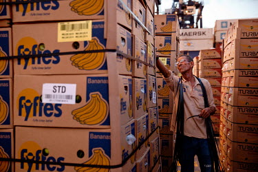 Workers stack boxes of Fair Trade bananas produced for Fyffes, an importer and distributor of tropical crops, at Santa Marta's port.