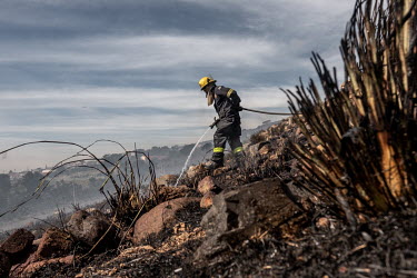 Fire fighters extinguish embers from a wildfire on the egde of Cape Town.