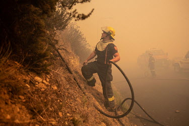 Fire fighters battle a wildfire on Table Mountain, attempting to stop it from reaching residential areas in Cape Town.