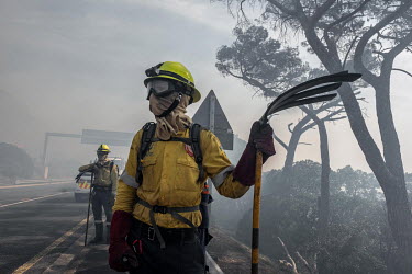 Volunteer fire fighters attempt to prevent a wildfire from crossing over the M3 highway and reaching residential areas of Cape Town.