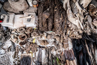 Various types of preserved animals and birds, including vultures, for sale at a vodun traditional medecine stall in Kejetia market (Kumasi Central Market).